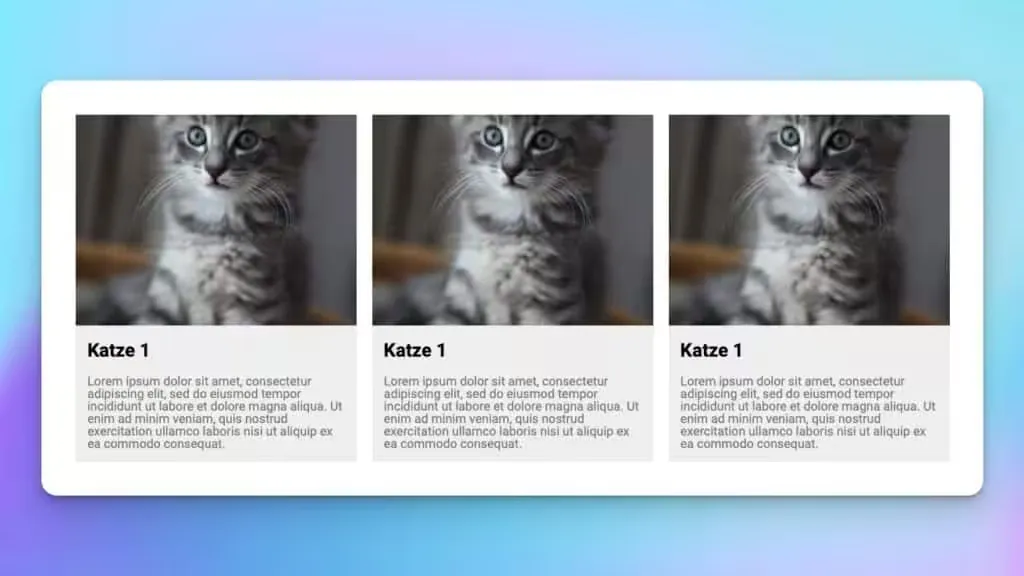 Katzenauflistung im Elementor PageBuilder