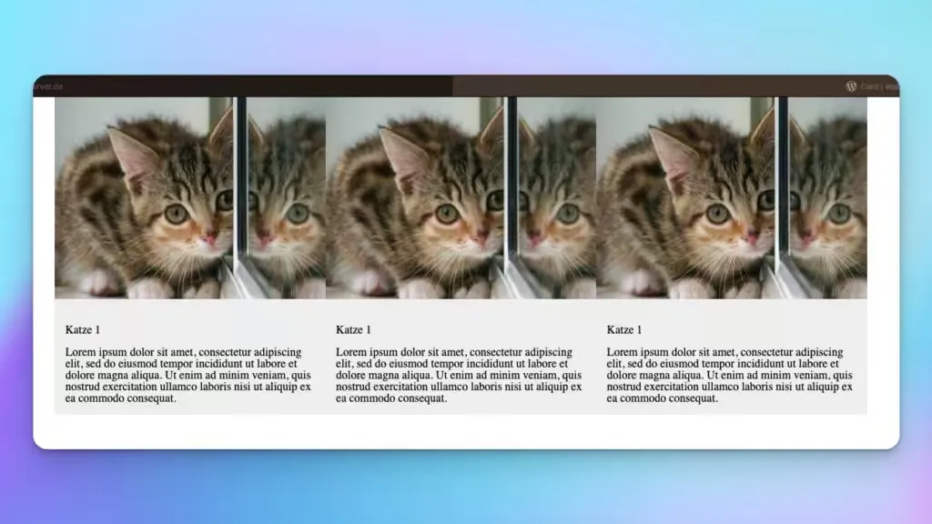 Katzenauflistung im WPBakery PageBuilder